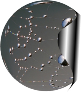 Webtractor Web Sites